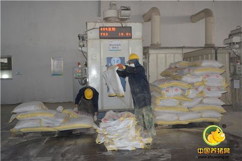標(biāo)桿工廠，再創(chuàng)輝煌 浙江播恩預(yù)混料與教槽料產(chǎn)銷量破10000噸慶典隆重舉行